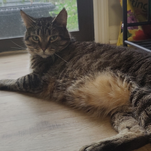 About me! - Picture 3 of 5